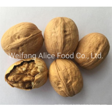 Wholesale New Crop Size 28mm/30mm/32mm up Easy Cracked Walnut in Shell